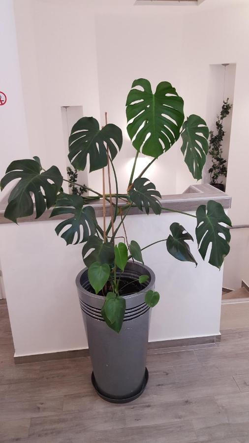 Centar Vodice Apartmani Экстерьер фото